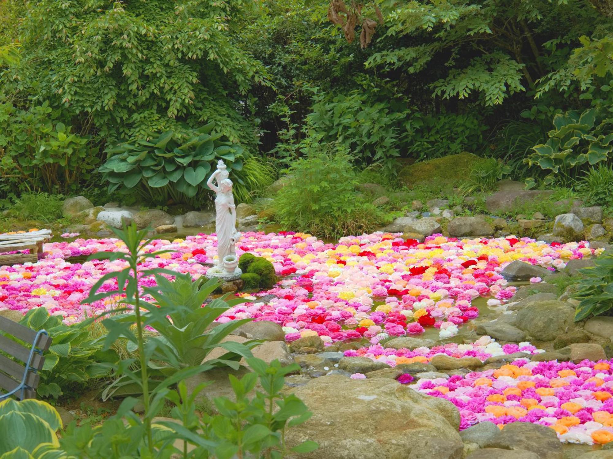 くじゅう花公園　キャンピングリゾート花と星