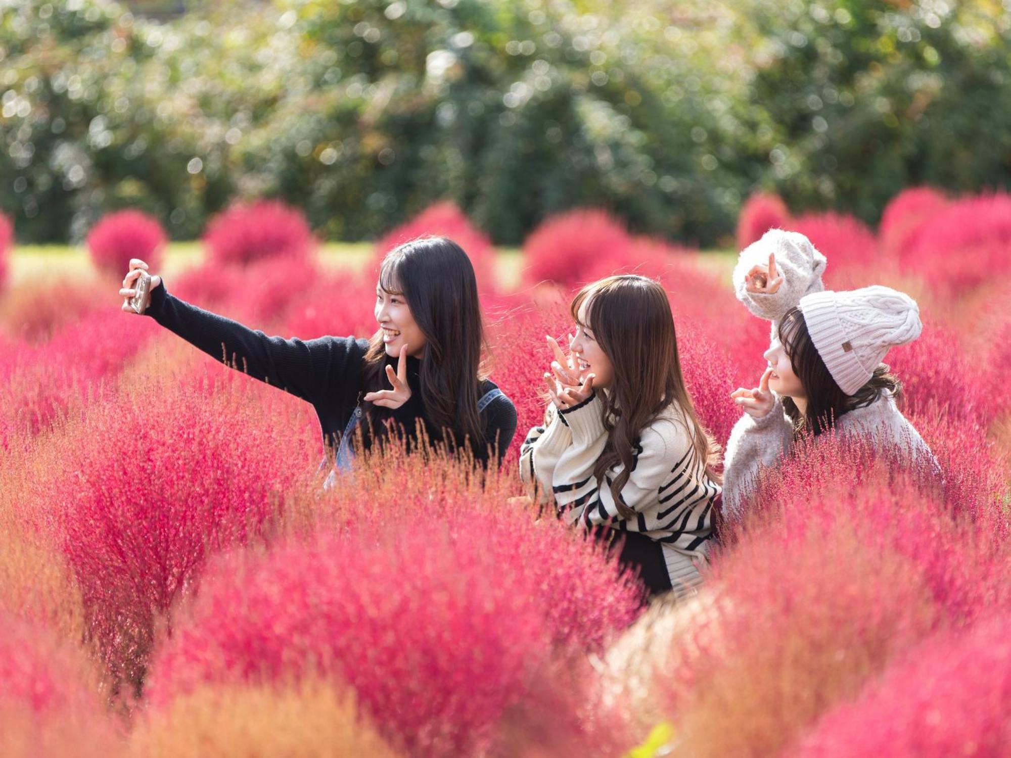 Luxuszelt くじゅう花公園　キャンピングリゾート花と星 Kuju