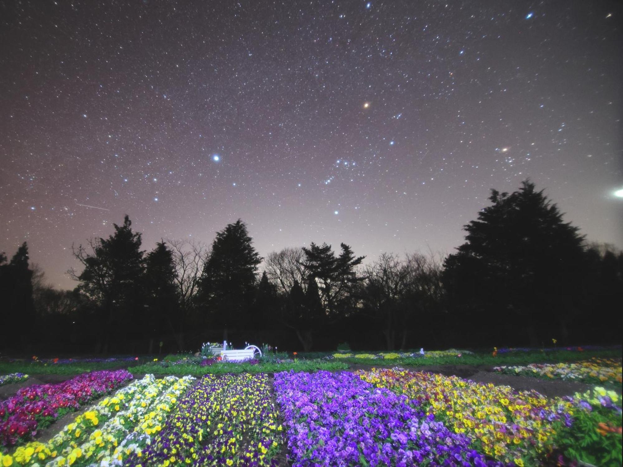 Luxuszelt くじゅう花公園　キャンピングリゾート花と星 Kuju